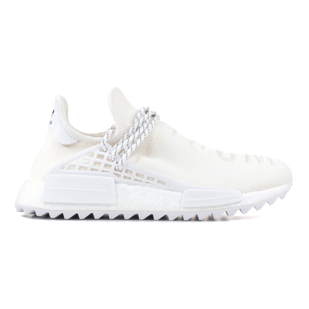 Human race sales holi blank canvas