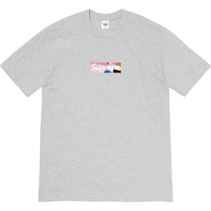 Supreme Emilio Pucci Box Logo Tee - Heather Grey/Dusty Pink