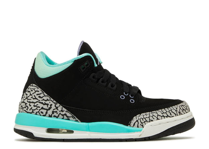 Air Jordan 3 Retro (GS) - Black Mint - Used