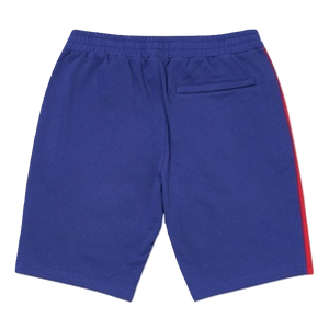 Palace Verto Short - Purple Palace
