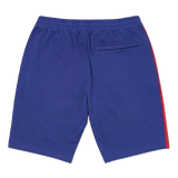 Palace Verto Short - Purple