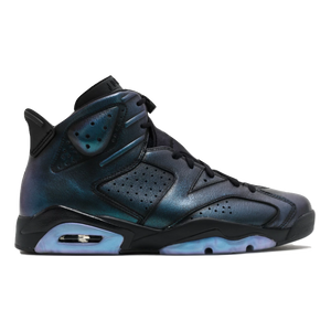 Air Jordan 6 Retro AS All Star Chameleon Grails SF