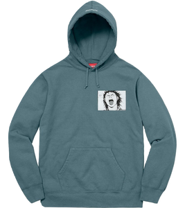 Supreme/Akira Patch Hooded Sweatshirt