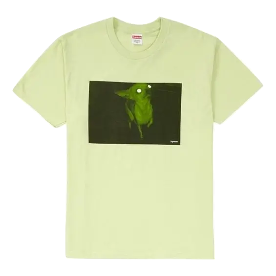 Supreme Chris Cunningham Chihuahua Tee - Pale Mint - Used Supreme