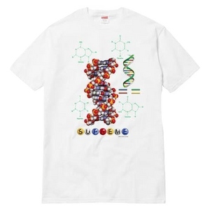 Supreme DNA Tee White Grails SF