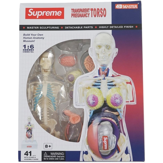 Supreme Transparent Pregnancy Torso - Clear
