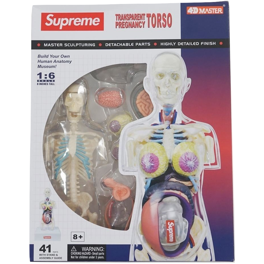Supreme Transparent Pregnancy Torso - Clear