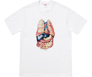 Supreme Guts Tee White Grails SF