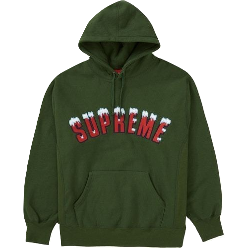 Supreme Icy Arc Hooded Sweatshirt - Green Supreme