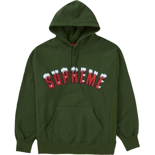 Supreme Icy Arc Hooded Sweatshirt - Green