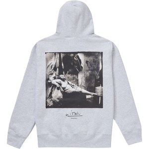 Supreme Sanitarium Hooded Sweatshirt - Ash Grey Supreme