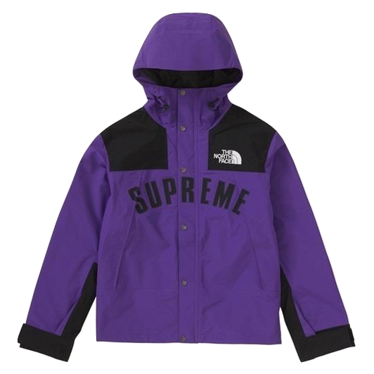 Supreme The North Face Arc Logo Mountain Parka - Purple