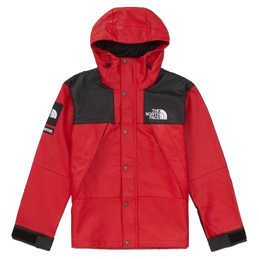Supreme x The North Face Leather Mountain Parka - Red