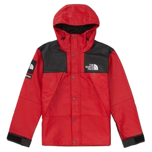 Supreme x The North Face Leather Mountain Parka - Red