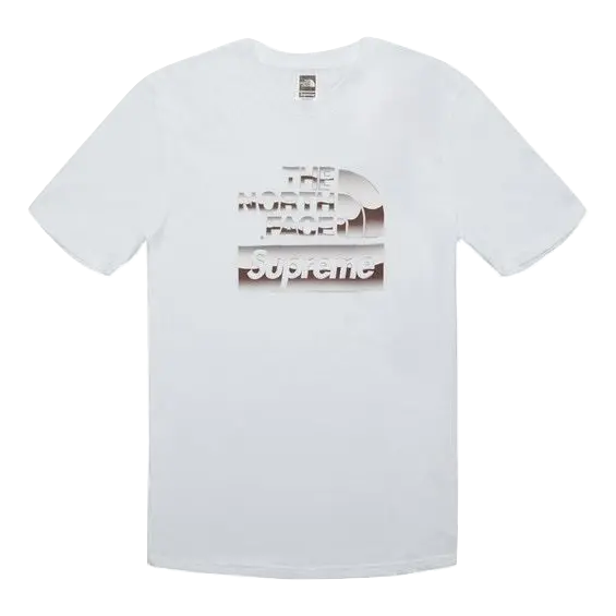 Supreme/ The North Face Metallic Logo T-Shirt - White Supreme