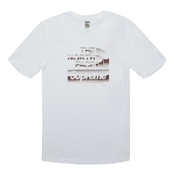 Supreme/ The North Face Metallic Logo T-Shirt - White - Used