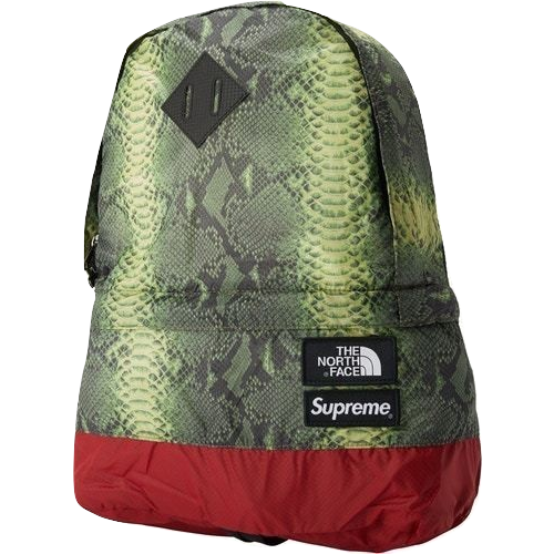 Supreme x The North Face Snakeskin Lightweight Day Pack - Green