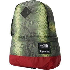 Supreme x The North Face Snakeskin Lightweight Day Pack - Green