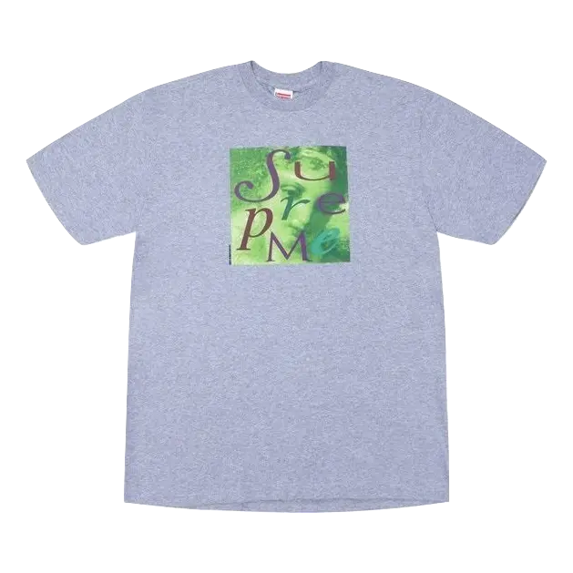 Supreme Venus Tee - Gray - Used Supreme