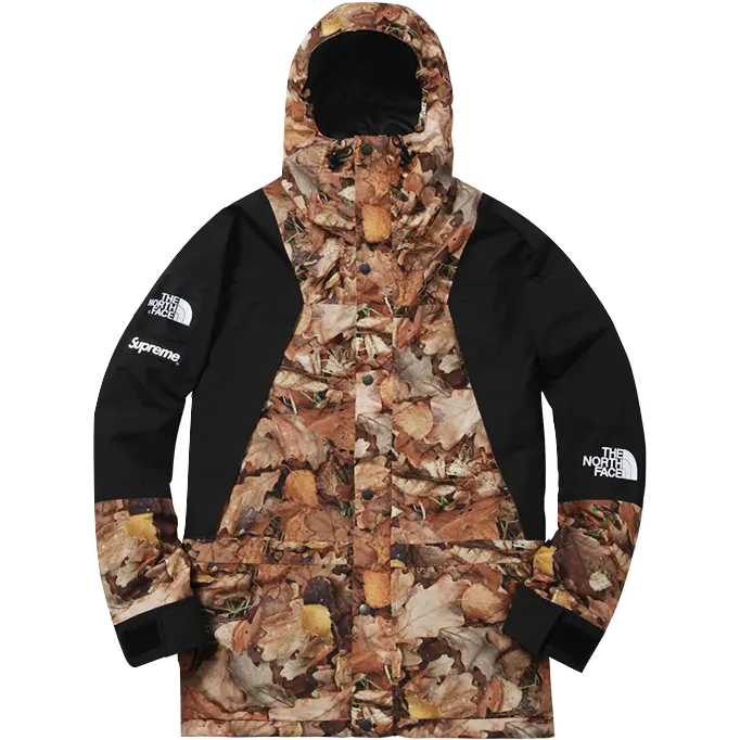 Supreme/The North Face Mountain Light Jacket - Leaves Supreme