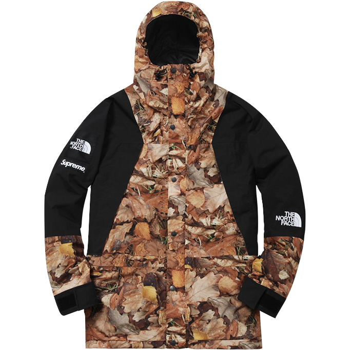 Supreme/The North Face Mountain Light Jacket - Leaves - Used Supreme
