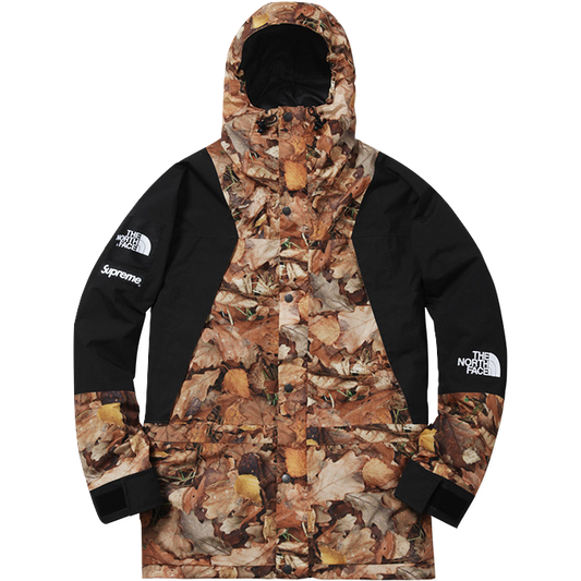 Supreme/The North Face Mountain Light Jacket - Leaves - Used