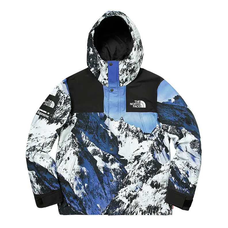 Supreme/The North Face Mountain Parka - Mountains Supreme