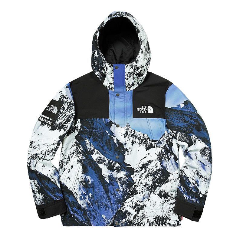 Supreme/The North Face Mountain Parka - Mountains