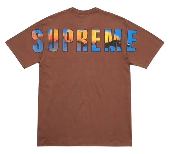 Supreme Crash Tee - Brown