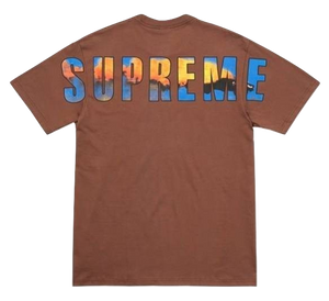 Supreme Crash Tee - Brown