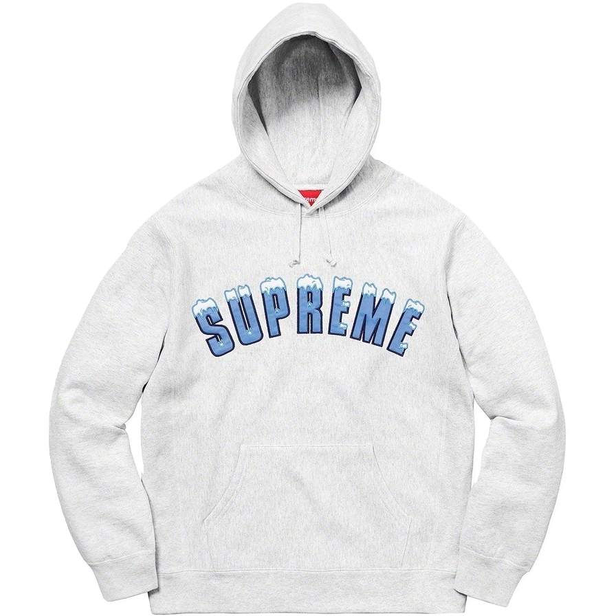 Supreme Icy Arc Hooded Sweatshirt - Ash Grey Supreme