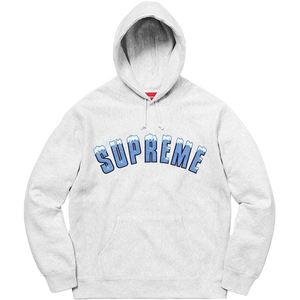 Supreme Icy Arc Hooded Sweatshirt - Ash Grey Supreme