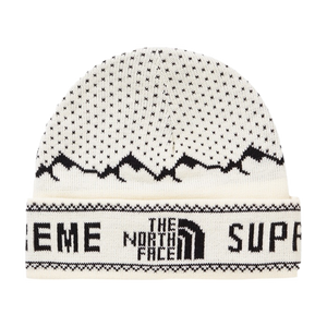 Supreme x discount tnf beanie