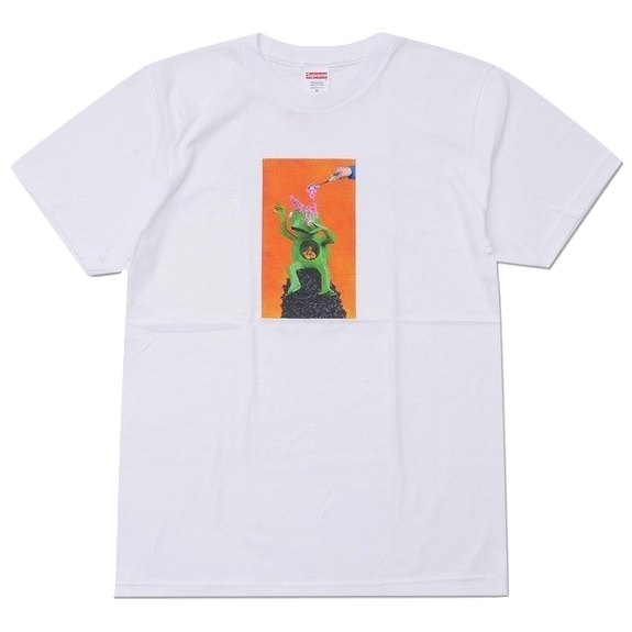 Supreme Mike Hill Brains Tee - White - Used