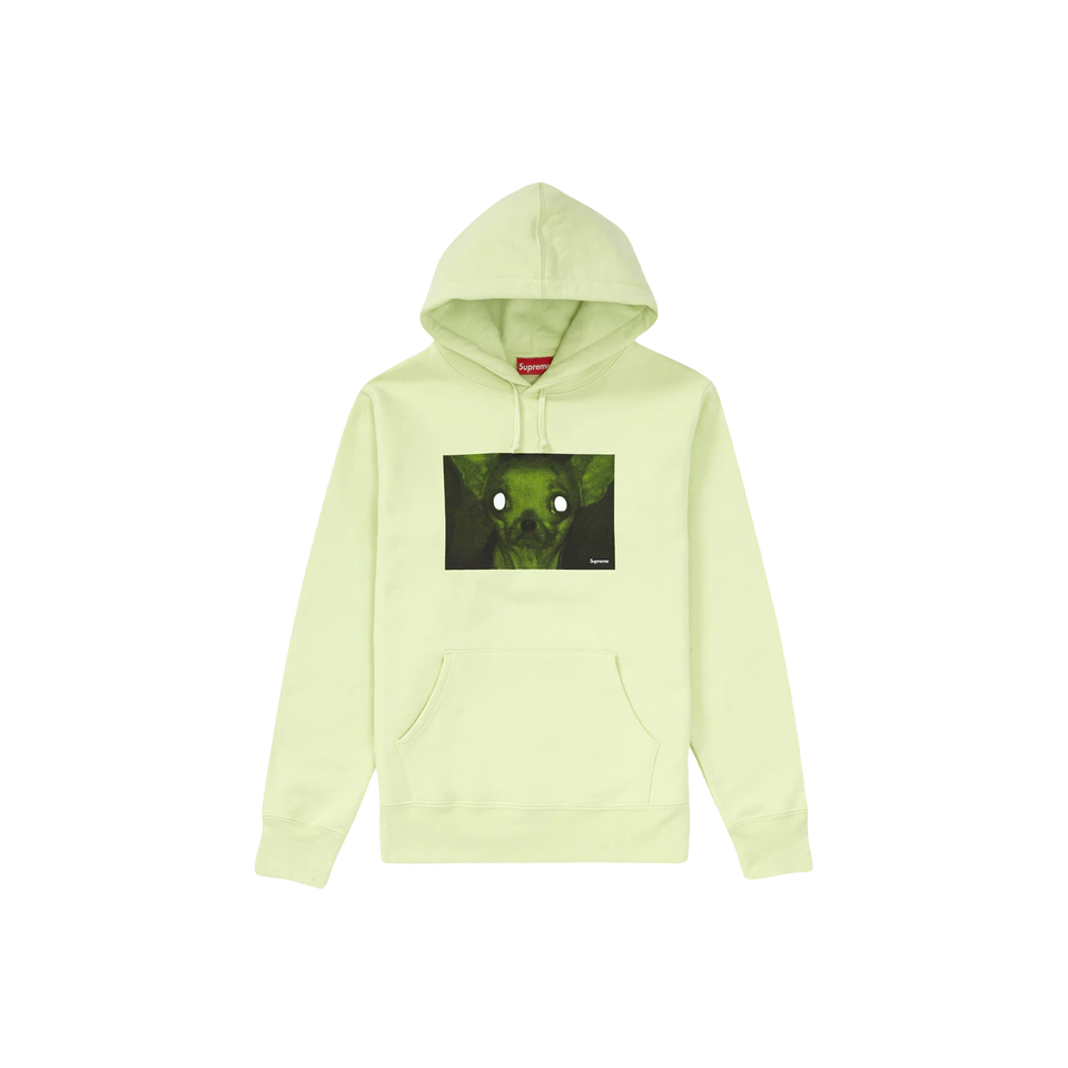 Supreme Chris Cunningham Chihuahua Hooded Sweatshirt - Pale Mint 
