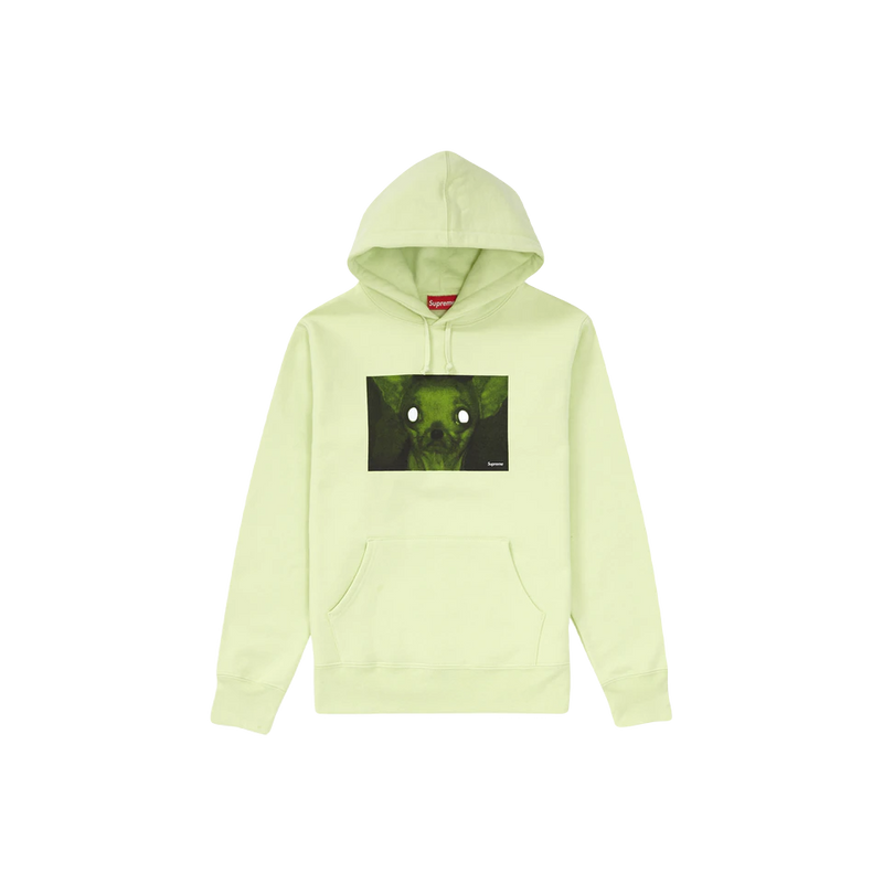 Supreme sales chihuahua hoodie