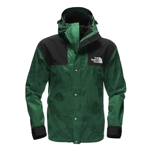 Northface x Nordstrom Urban Explorer Mountain Jacket Night Green Grails SF